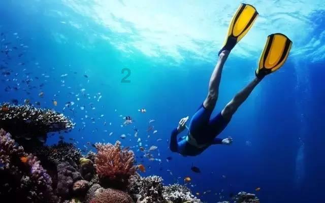 贯彻落实中央金融工作会议精神,国寿寿险全力做好养老金融大文章