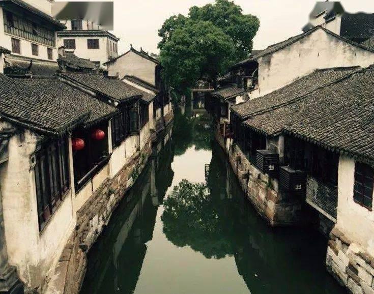 佘爱珍给胡兰成讲情事:我进门朝天1枪,胡兰成回忆说:她就是天